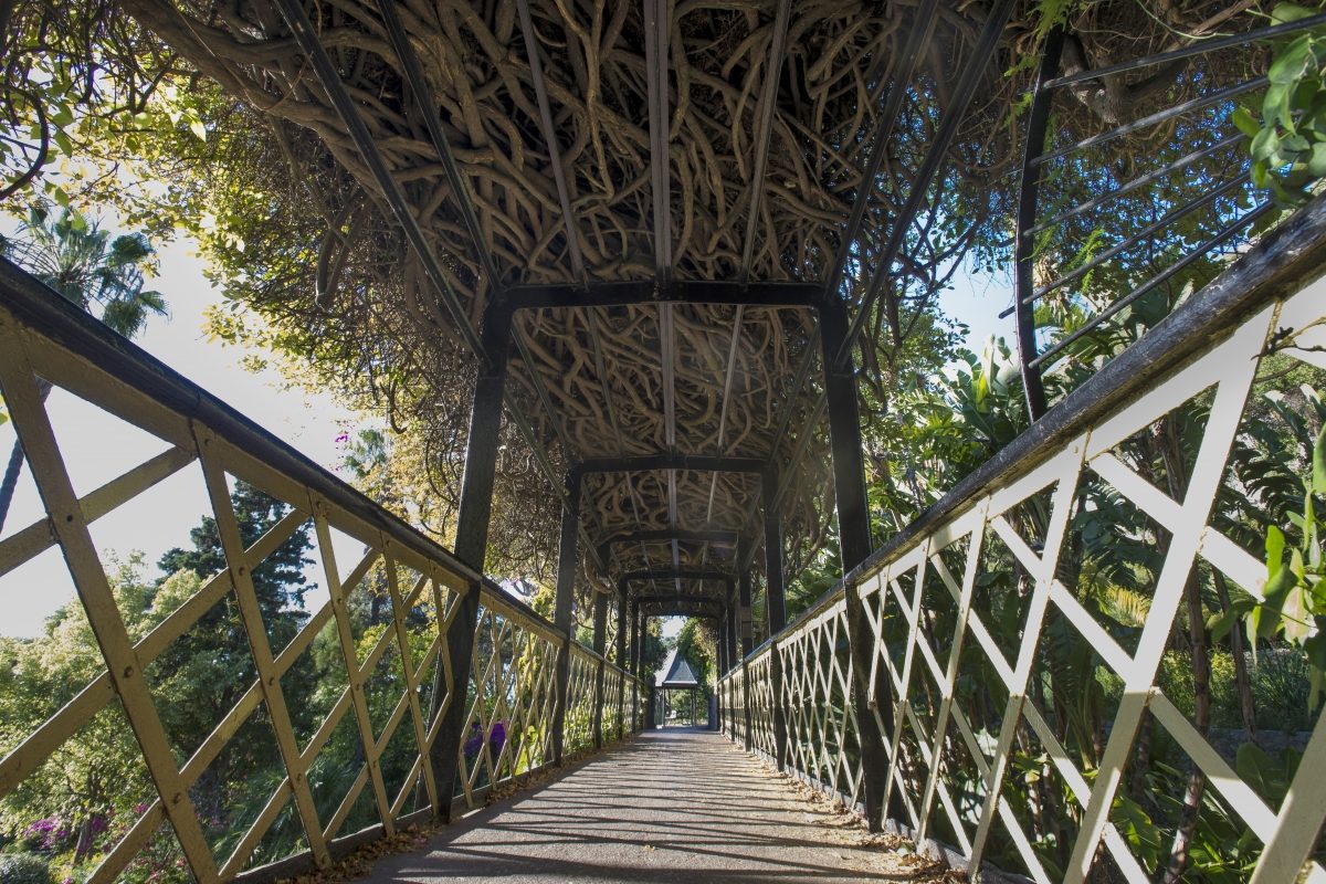 Alameda Botanic Gardens