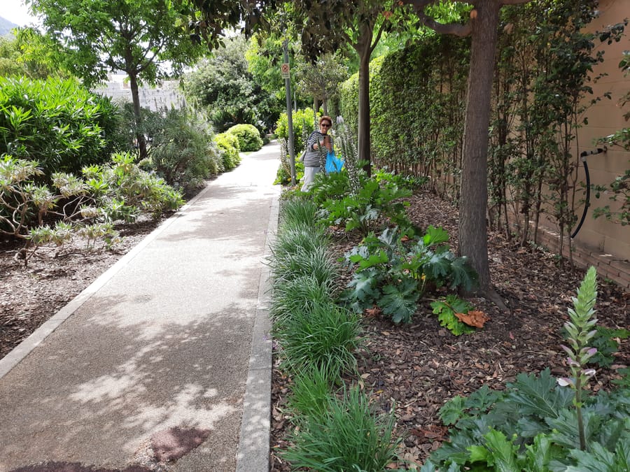 Commonwealth Park